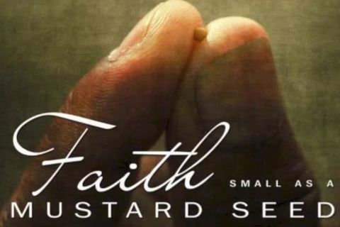 Mustard seed faith