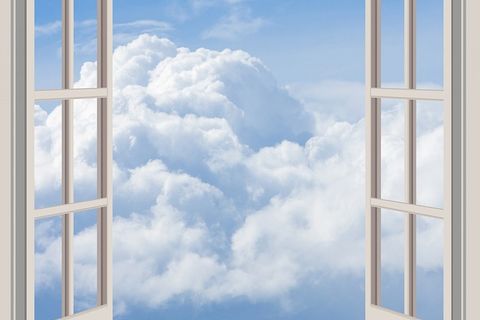 The Window