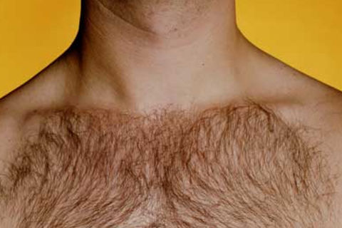 Chest Hairs
