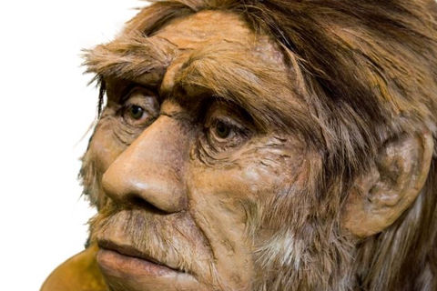 Mr. Neanderthal Man