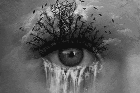 &quot; YOUR EYES NEVER LIE !?&quot;X