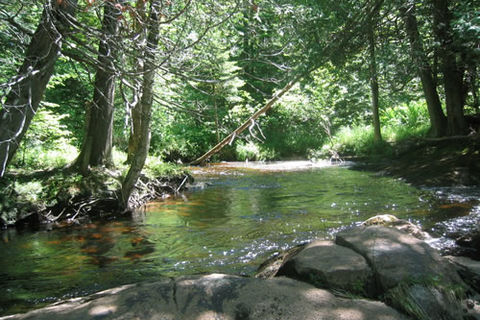 The Silver stream (extract)