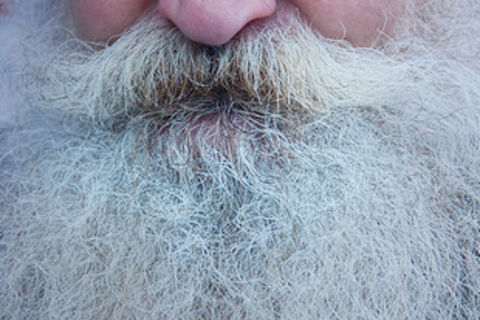 Jack&#039;s Beard