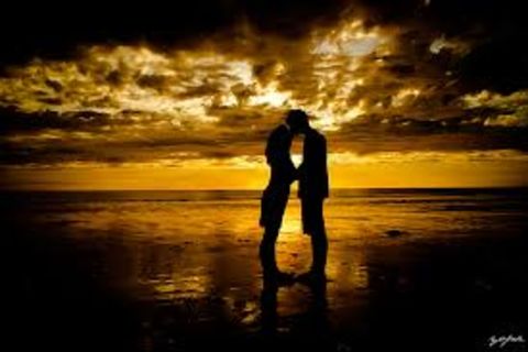To Never Love