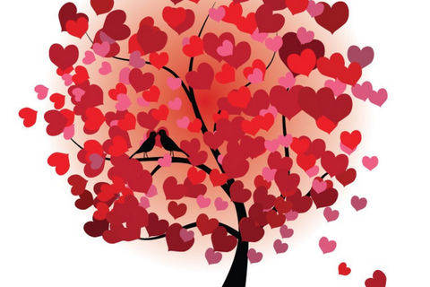 Love Is Free