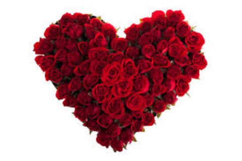 Your Love