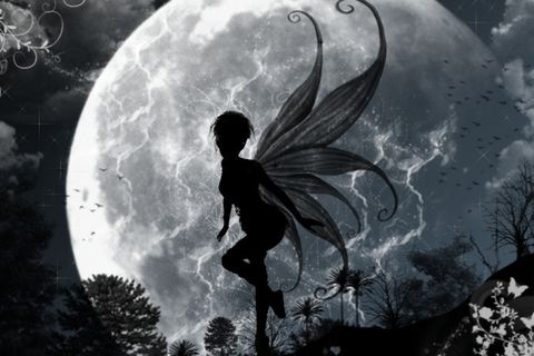 Dance Fairy, Fairy Bright