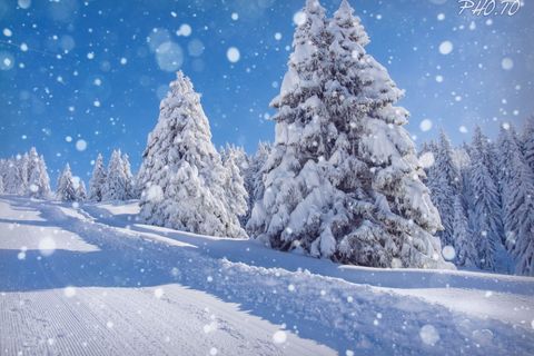 Snowflake