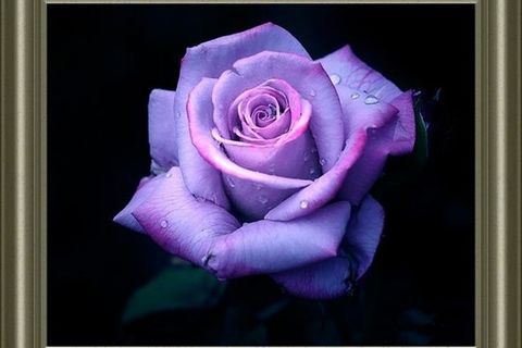 GODS KINGDOM IS ABOUT LOVE