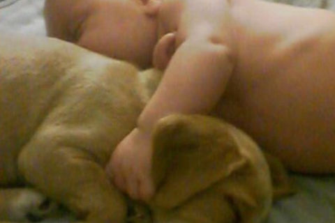Afternoon Naps