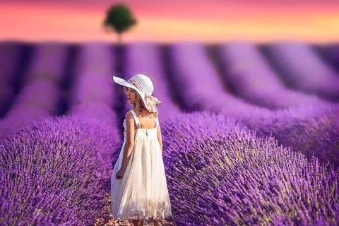 SENSES