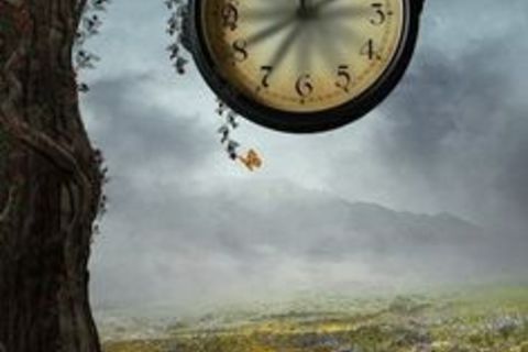 &quot; THE FINAL TICK &quot;