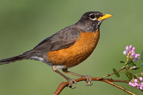 Don&#039;t Tell My Super Jock Friends