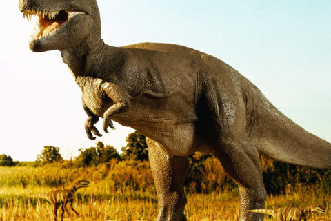 Do Dinos Soar