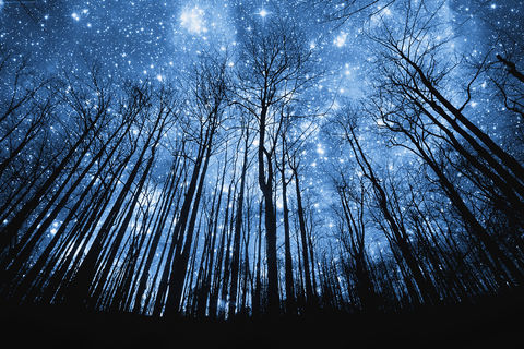 The Desert For The Stars