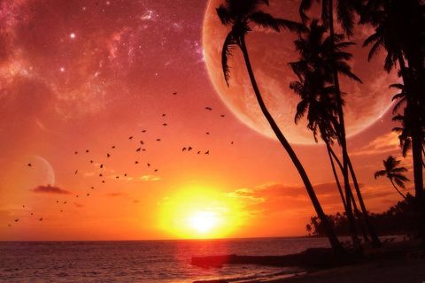 A Youthful Exuberance 