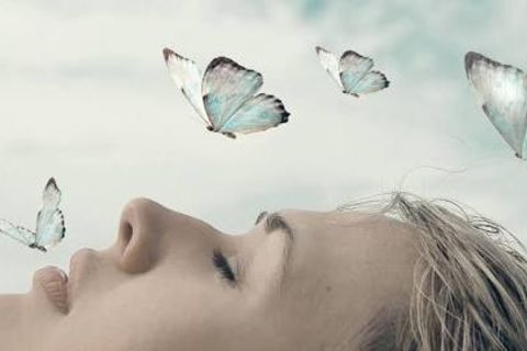Dreams