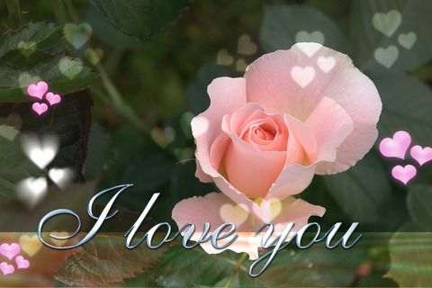 WHEN YOU TRULY LOVE SOMEONE