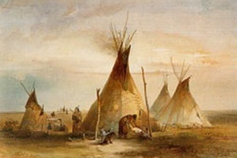 Tipi 