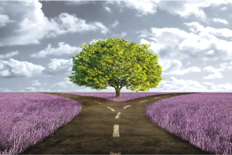 At The Crossroads 