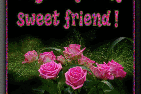 Sweet Friends