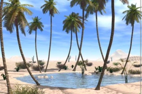 Dried River Of Love Formed Forbidden Oasis 