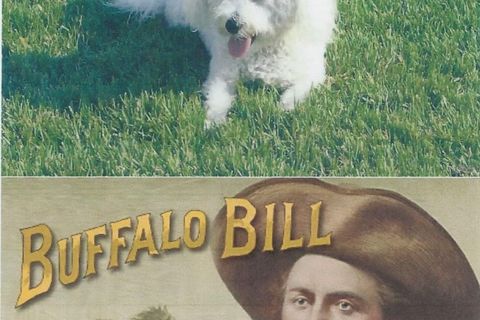 Buffalo Bill And Cody