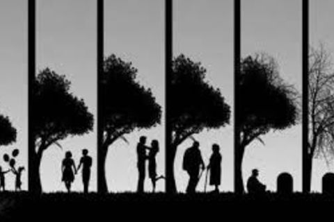 My Poetic Life