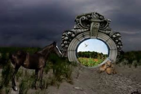  The Other Side