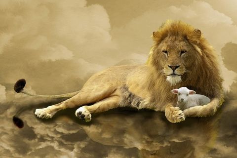 THE LAW AND THE NEW COVENANT