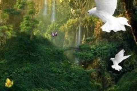 &quot; ON THE BEAUTY IN NATURE &quot; (for Ralph Waldo Emerson)