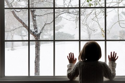The Young Girl in the Window