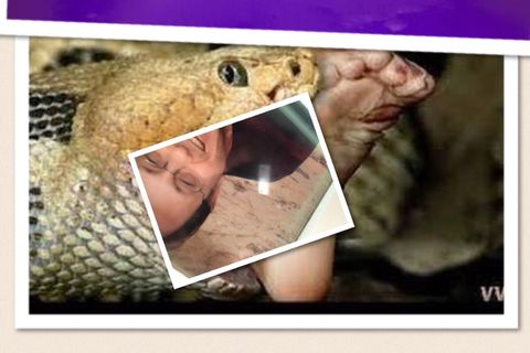 The story of Jai &amp; purple This photo is not photoshopped 