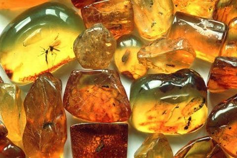 amber melodies