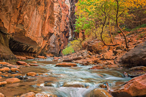 &quot; A RIVER ALIVE &quot;