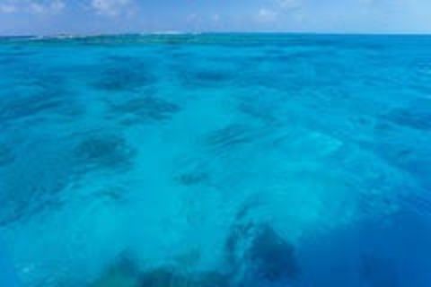 Carribean sea