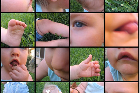 Body Parts