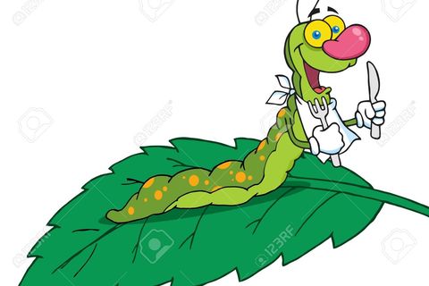 ME AND MY CATERPILLAR