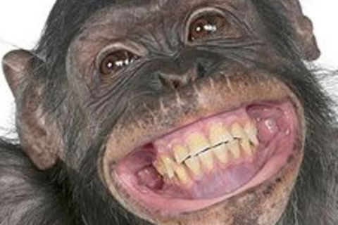 Smile Smile Smile
