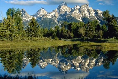 Reflections