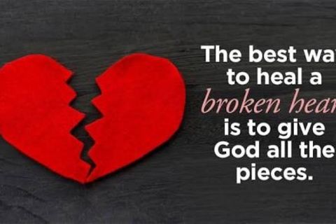 The broken fence 