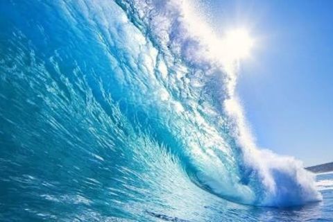 The Ocean 