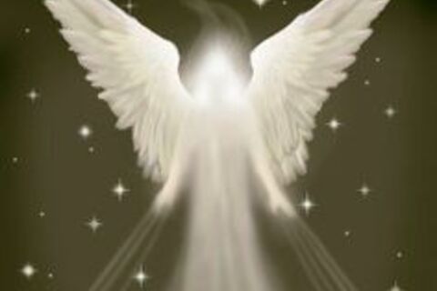 I Miss Yu 