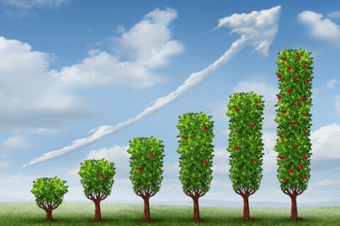 Growth