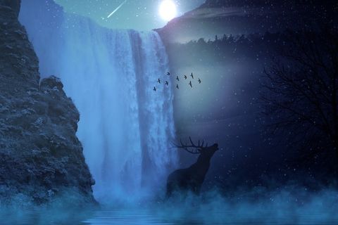 BUCK MOON IN THE SKY
