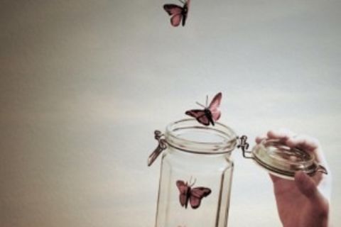 Catching Butterflies