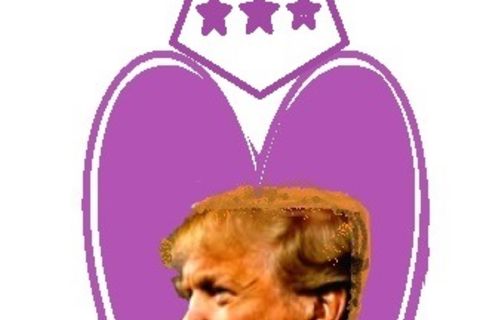 PURPLE HEART 4 ORANGE FART