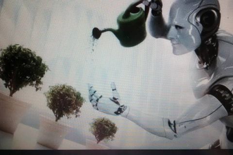 CONFORM TO SOCIETY / OR TO LIVE THE DREAM ( A THOUGHT)