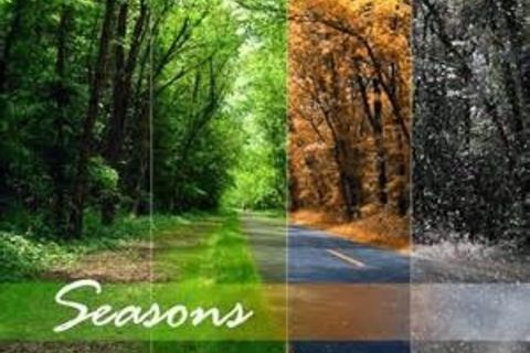 All Seasons