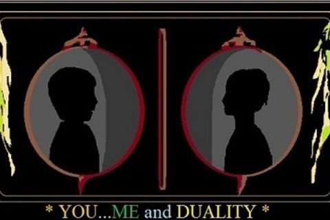 Duality